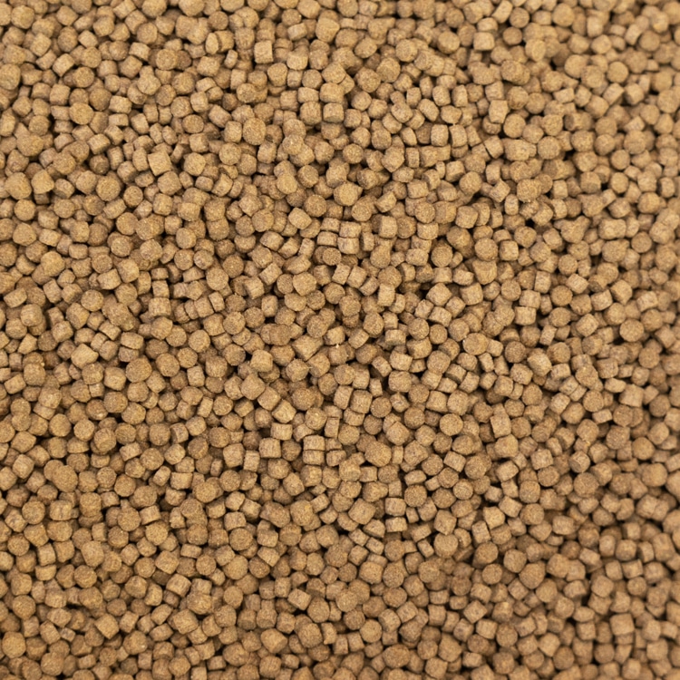 Hình ảnh 1